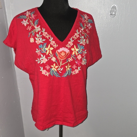 Solitaire Red Floral Embroidered Blouse - Picture 1 of 4